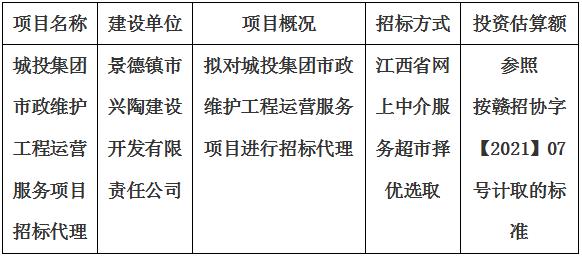 城投集團市政維護工程運營服務項目招標代理計劃公告