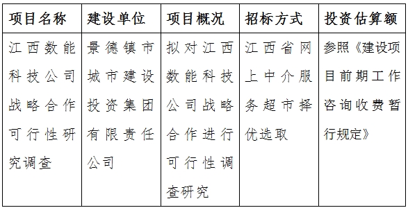 江西數能科技公司戰略合作可行性研究調查計劃公告