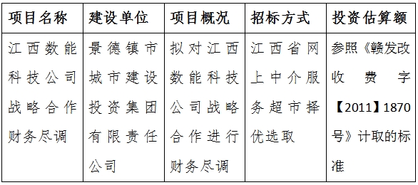 江西數(shù)能科技公司戰(zhàn)略合作財務(wù)盡調(diào)計劃公告