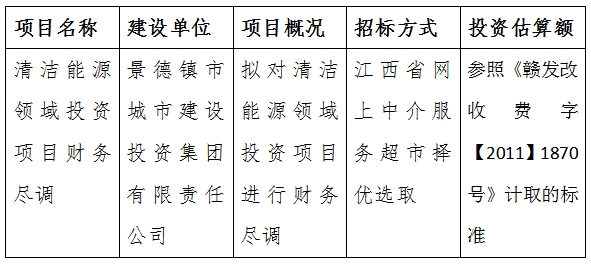 清潔能源領域投資項目財務盡調計劃公告