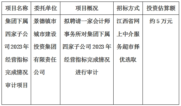 集團下屬四家子公司2023年經營指標完成情況審計項目計劃公告