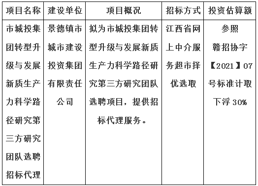 市城投集團轉(zhuǎn)型升級與發(fā)展新質(zhì)生產(chǎn)力科學(xué)路徑研究第三方研究團隊選聘招標(biāo)代理計劃公告