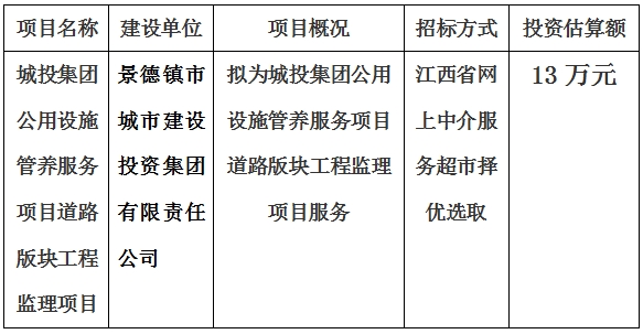 城投集團公用設施管養服務項目道路版塊工程監理項目計劃公告