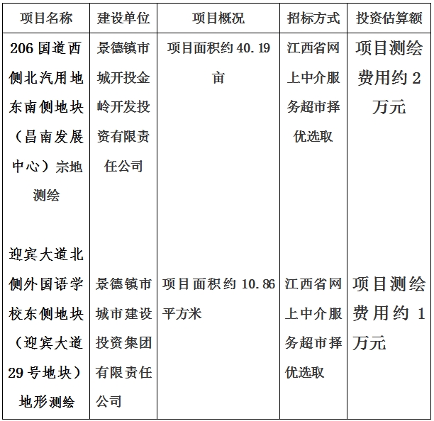 景德鎮市206國道西側北汽用地東南側地塊（昌南發展中心）宗地測繪項目及迎賓大道北側外國語學校東側地塊（迎賓大道29號地塊）地形測繪項目計劃公告