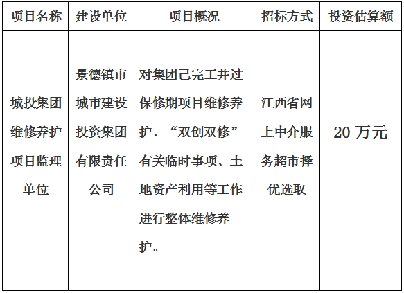 城投集團維修養護項目監理單位計劃公告